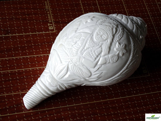 Centorganic Beautiful Handicraft Hand Carving Blowing Shankh, Natural Conch Shell (18 CM, 850 GRAMS)