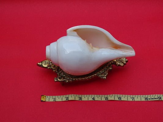 Centorganic Blowing Shankh for Pooja Original Conch Shell with Brass Stand (7.5 Inch, Big)