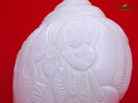 Centorganic Original Shankh Lord Krishna carving in standing position , Beautiful Handicraft big Carving Blowing Shankh, Natural Conch Shell Horn Rare Collectibles (22 CM, 1200 GRAMS)