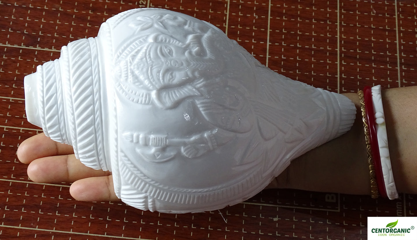 Centorganic Blowing Shankh with Lord Ganesha carving Vamavarti Shankh ( 6 Inch, Big)