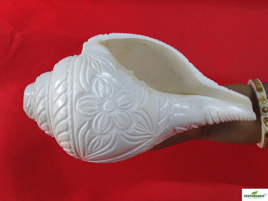 Centorganic Original Shankh Lakshmi Mata carving , Beautiful Handicraft big Carving Blowing Shankh, Natural Conch Shell Horn Rare Collectibles (22 CM, 1200 GRAMS)