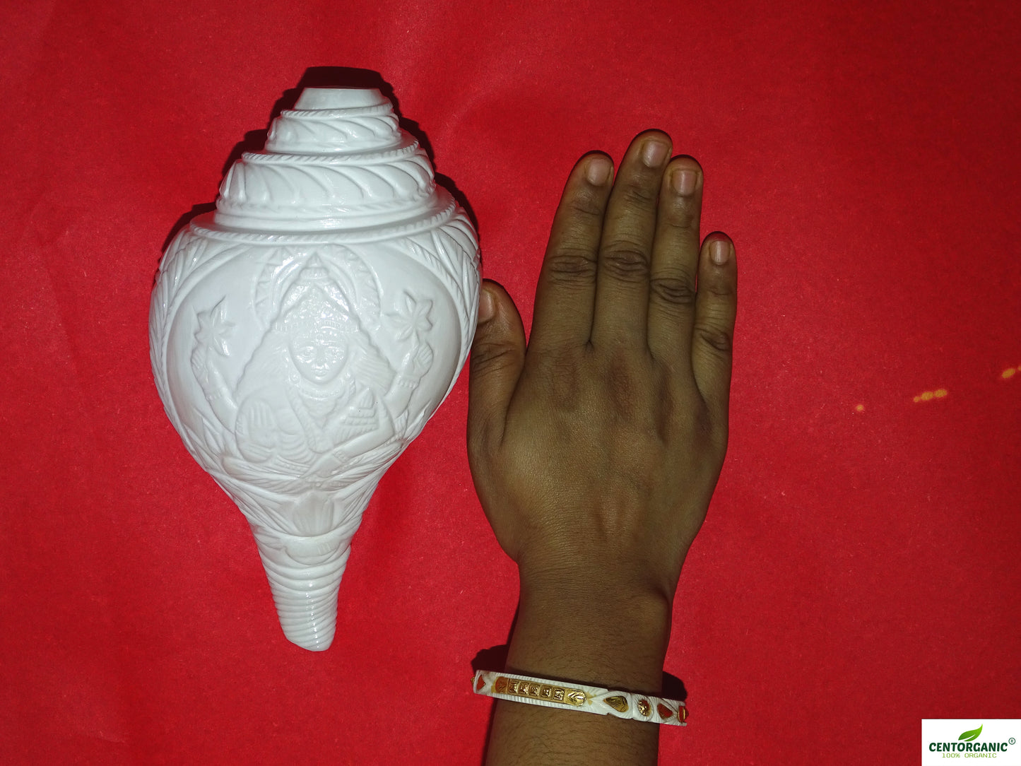 Centorganic Original Shankh Lakshmi Mata carving , Beautiful Handicraft big Carving Blowing Shankh, Natural Conch Shell Horn Rare Collectibles (22 CM, 1200 GRAMS)