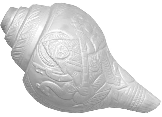 Centorganic Original Shankh Goddess Saraswati murti carving , Beautiful Handicraft big Carving Blowing Shankh, Natural Conch Shell Horn Rare Collectibles (22 CM, 1200 GRAMS)