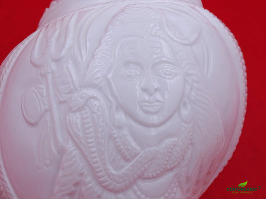 Centorganic Original Shankh Lord Shiva Face carving, Beautiful Handicraft big Carving Blowing Shankh, Natural Conch Shell Horn Rare Collectibles (22 CM, 1200 GRAMS)