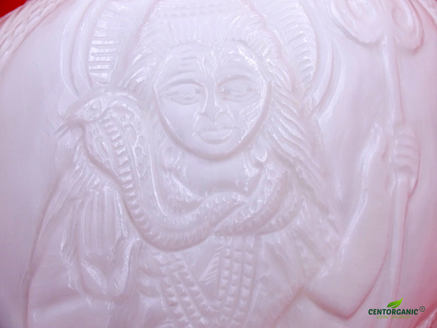 Centorganic Original Shankh Lord Shiva murti carving in sitting position , Beautiful Handicraft big Carving Blowing Shankh, Natural Conch Shell Horn Rare Collectibles (22 CM, 1200 GRAMS)