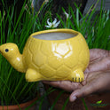 Centorganic Tortoise Shape Ceramic Planter for plants, Multicolour Colour and Texure.