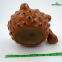 Centorganic Tortoise Shape Ceramic Planter for plants, Multicolour Colour and Texure.