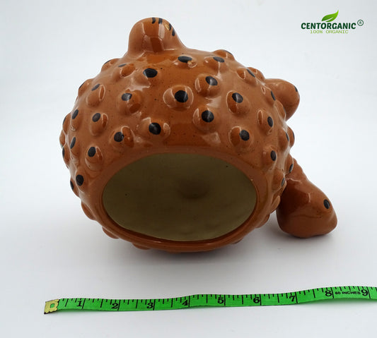 Centorganic Tortoise Shape Ceramic Planter for plants, Multicolour Colour and Texure.