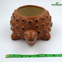 Centorganic Tortoise Shape Ceramic Planter for plants, Multicolour Colour and Texure.