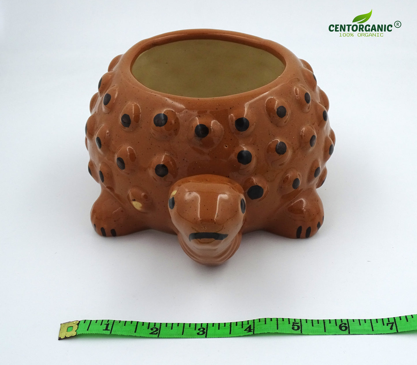 Centorganic Tortoise Shape Ceramic Planter for plants, Multicolour Colour and Texure.