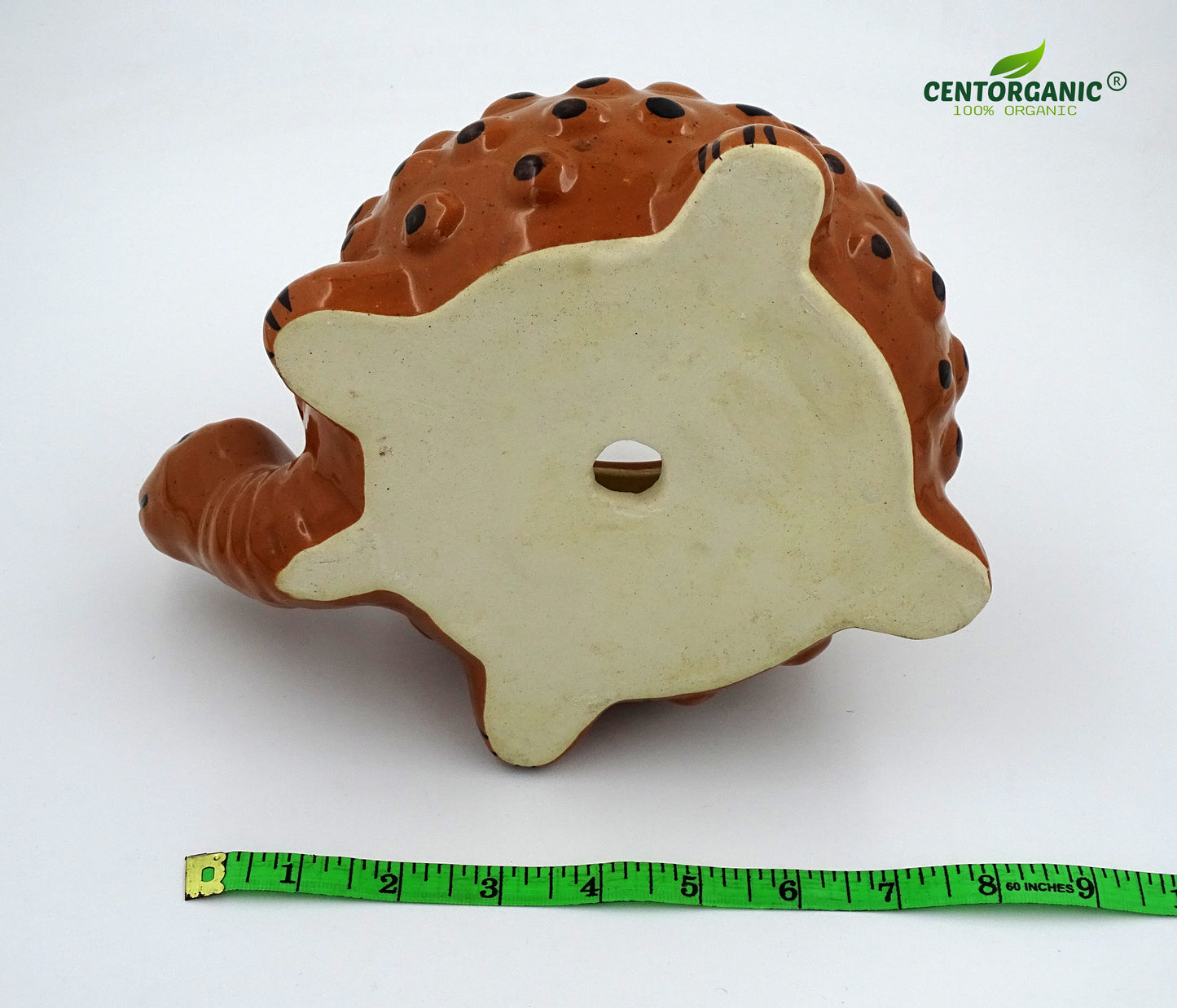 Centorganic Tortoise Shape Ceramic Planter for plants, Multicolour Colour and Texure.