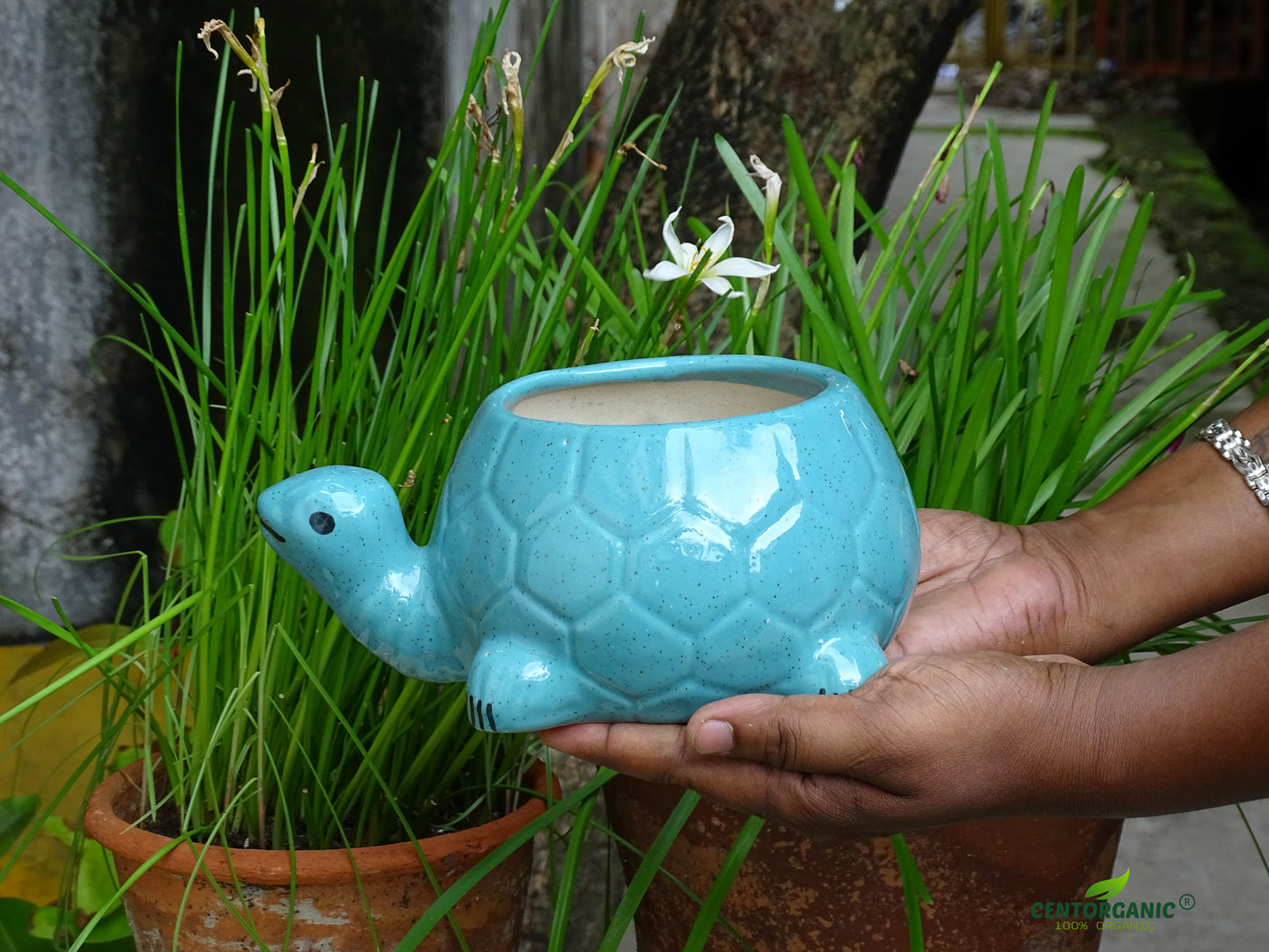 Centorganic Tortoise Shape Ceramic Planter for plants, Multicolour Colour and Texure.