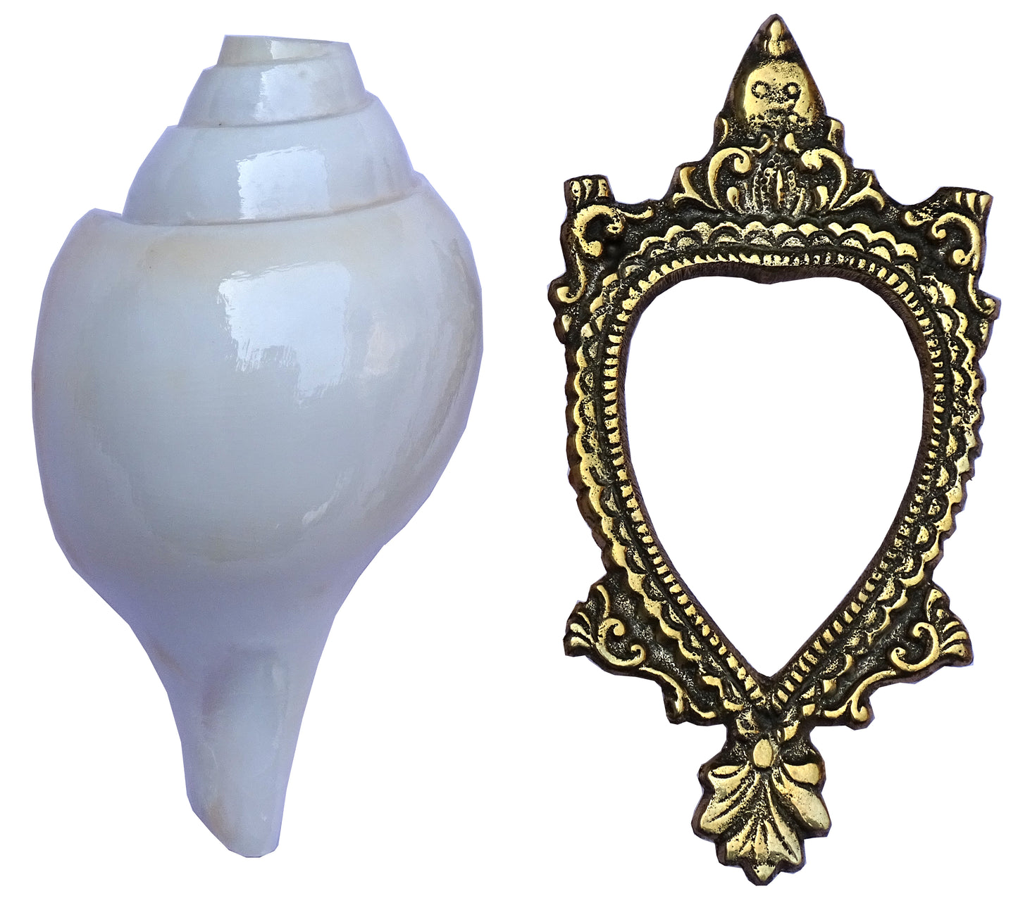 Centorganic Blowing Shankh for Pooja Original Conch Shell with Brass Stand (6.5 Inch, Big)