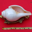 Centorganic Blowing Shankh for Pooja Original Conch Shell with Brass Stand (6.5 Inch, Big)