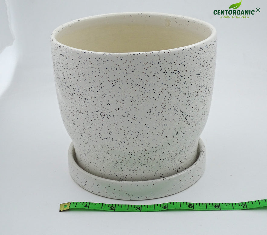 drum plant pot Centorganic Drum Shape Ceramic Big Planter for plants with Base plate, – COPLIO ONLINE STORE