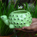 Centorganic Tortoise Shape Ceramic Planter for plants, Multicolour Colour and Texure.