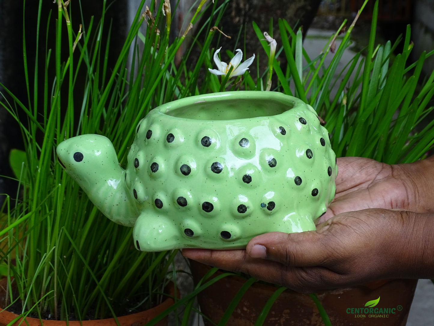 Centorganic Tortoise Shape Ceramic Planter for plants, Multicolour Colour and Texure.