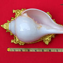 Centorganic Blowing Shankh for Pooja Original Conch Shell with Brass Stand (8 Inch, Very Big)