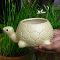 Centorganic Tortoise Shape Ceramic Planter for plants, Multicolour Colour and Texure.