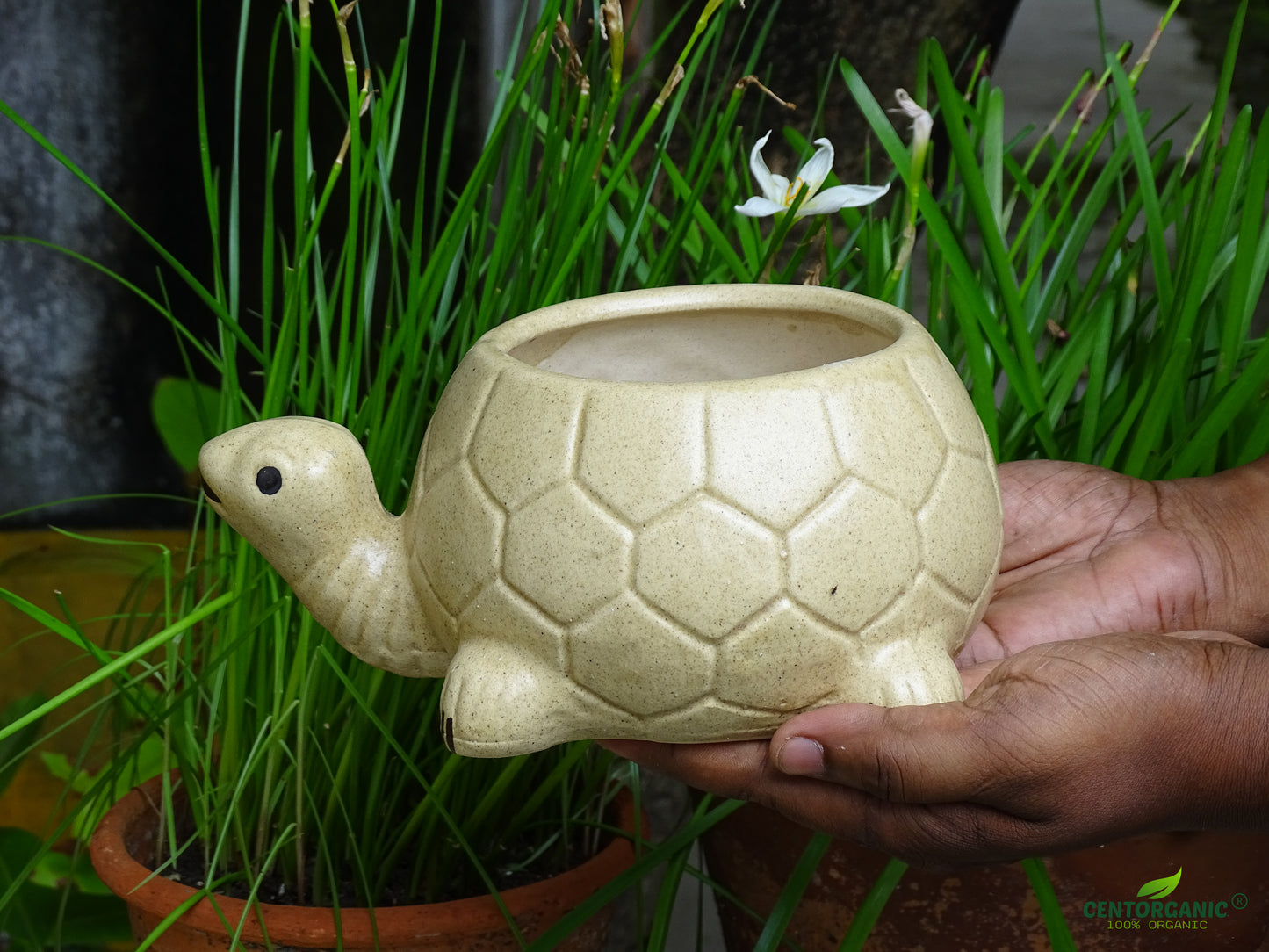 Centorganic Tortoise Shape Ceramic Planter for plants, Multicolour Colour and Texure.