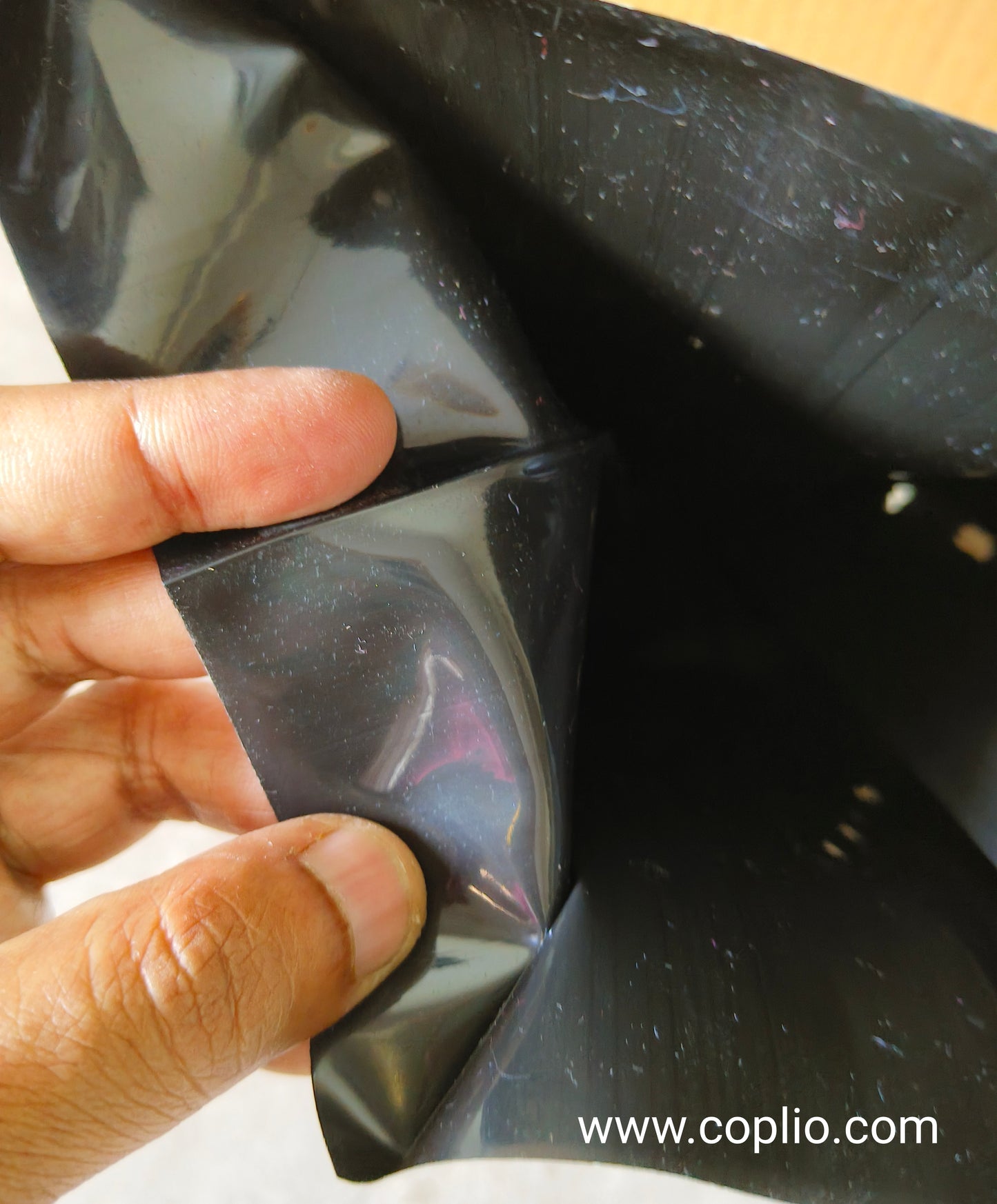 Realplant UV Treated Poly Grow Bag 6x8 inch for Terrace Gardening, White Outside Black Inside, Thick long lasting (pack of 5)