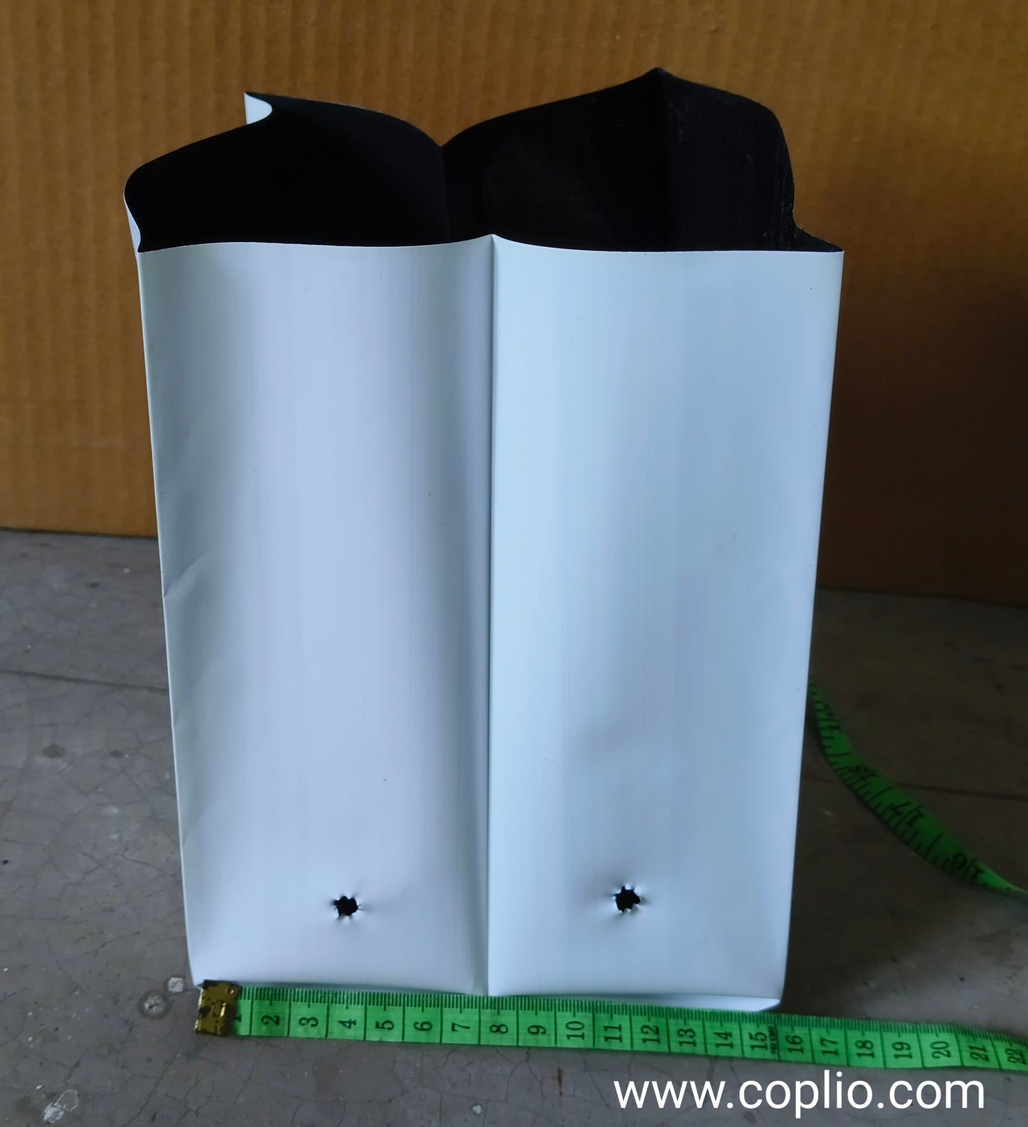 Realplant UV Treated Poly Grow Bag 6x8 inch for Terrace Gardening, White Outside Black Inside, Thick long lasting (pack of 5)