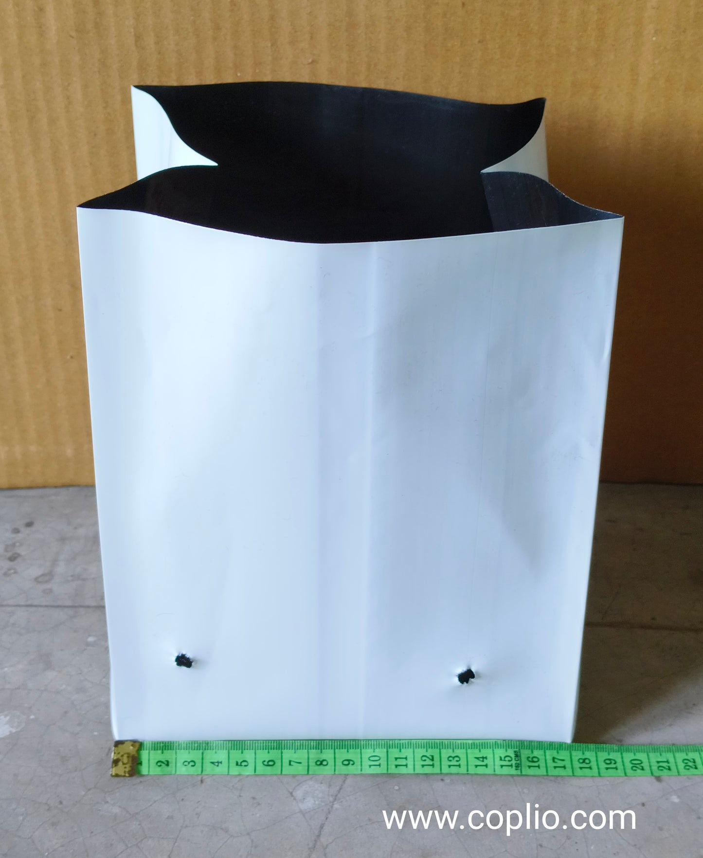 Realplant UV Treated Poly Grow Bag 6x8 inch for Terrace Gardening, White Outside Black Inside, Thick long lasting (pack of 5)