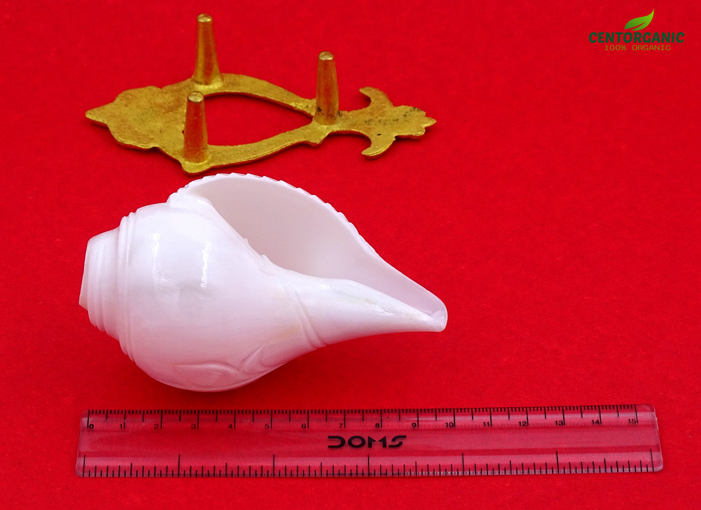 Centorganic Blowing Shankh for Pooja Original Conch Shell with free Brass Shankh Stand (3.5 Inch, Very Small)