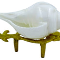 Centorganic Blowing Shankh for Pooja Original Conch Shell with free Brass Shankh Stand (3.5 Inch, Very Small)