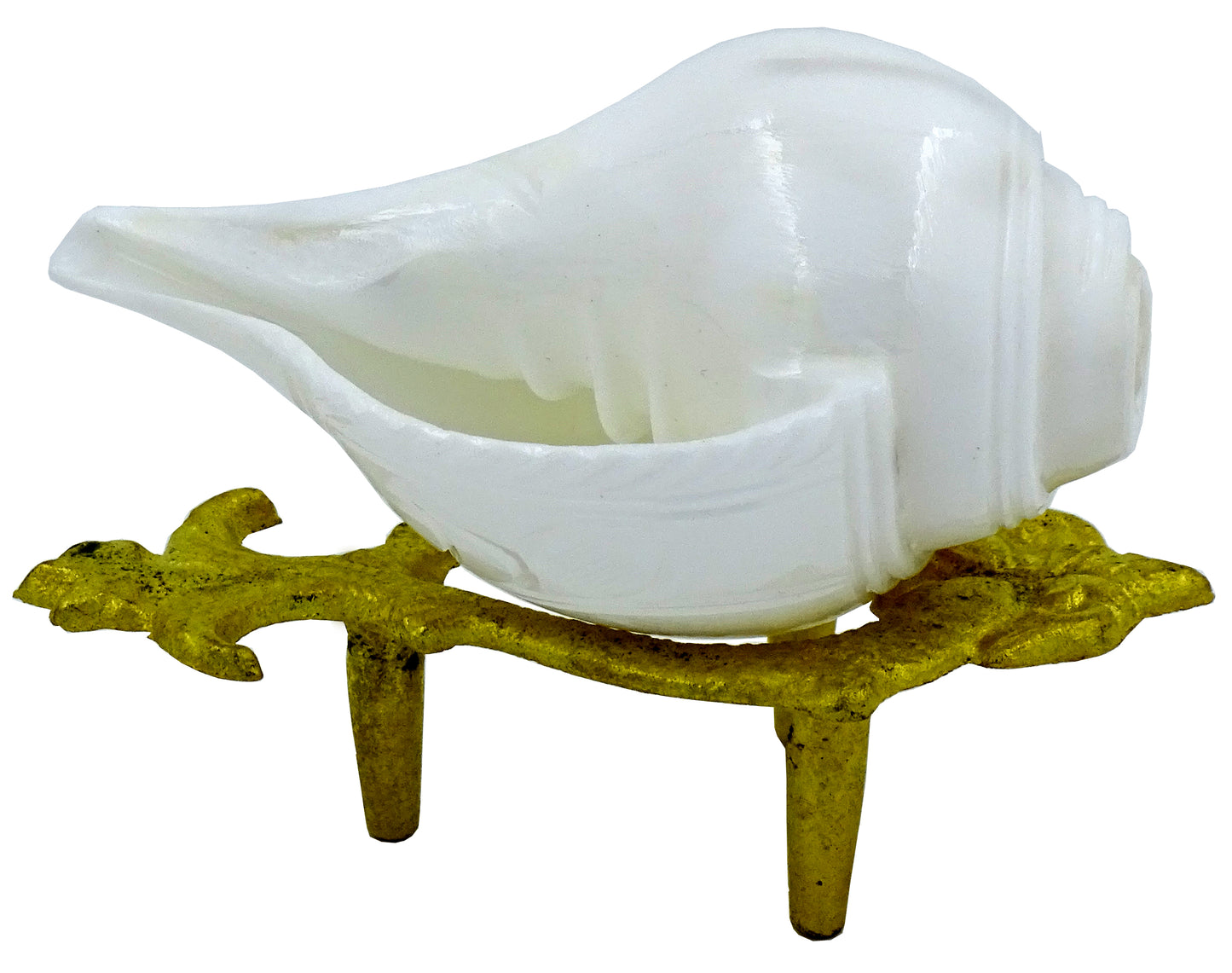 Centorganic Blowing Shankh for Pooja Original Conch Shell with free Brass Shankh Stand (3.5 Inch, Very Small)