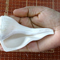 Centorganic Dakshinavarti Shankh, Valampuri Sangu (White, 8-9 cm)