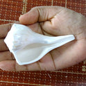 Centorganic Dakshinavarti Shankh, Valampuri Sangu (White, 6-7 cm)