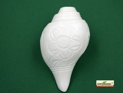 Buy Original Blowing Shankh @ Best Price