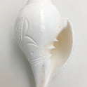 Centorganic Conch Shell Vamavarti Natural Loud Blowing Shankh for Pooja Original, Engraved Premium Small Size, 5 Inch(12 to 13 cm) in length.