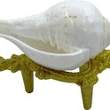 Centorganic Natural Jal sankha / Pani shankh for puja original with Brass stand (3 inch, Very Small )