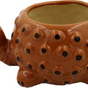 Centorganic Tortoise Shape Ceramic Planter for plants, Multicolour Colour and Texure.