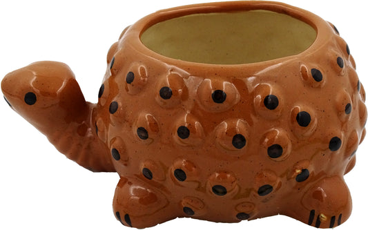 Centorganic Tortoise Shape Ceramic Planter for plants, Multicolour Colour and Texure.