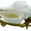 Centorganic American Blowing Shankh for pooja, With brass shankh stand, Big size original (White, 7.5 Inch)