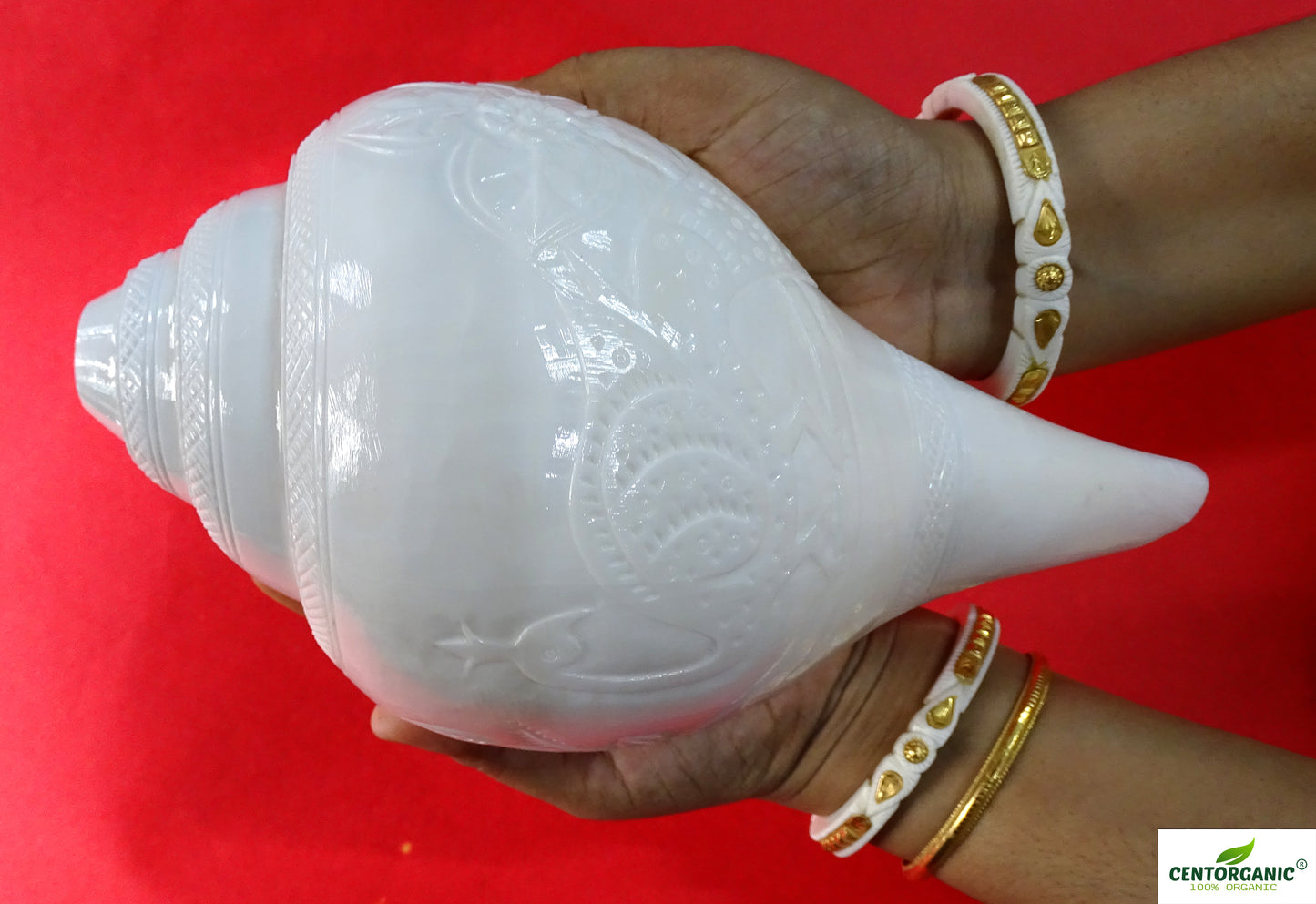 Centorganic Beautiful Handicraft Hand Peacock Carving Blowing Shankh, Natural Conch Shell Rare Premium Very Big Size (24 cm, 1500 grams)