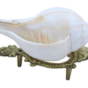 Centorganic Pure Natural Blowing Conch Shell | with Shankh Stand | Vamavarti Shankh ( 5.5 Inch, Medium Size)