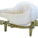 Centorganic Pure Natural Blowing Conch Shell | with Shankh Stand | Vamavarti Shankh ( 5 Inch, Small)