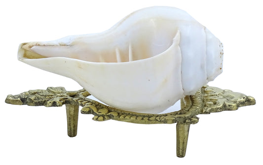 Centorganic Pure Natural Blowing Conch Shell | with Shankh Stand | Vamavarti Shankh ( 5 Inch, Small)