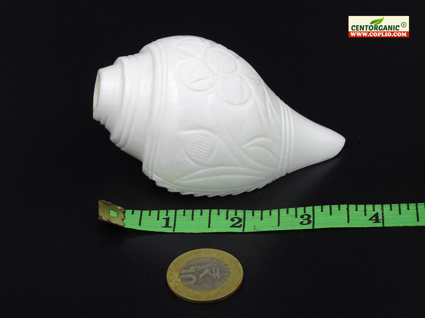 Centorganic Loud Blowing Shankh for pooja 3.5 Inches length, handicraft floral design.