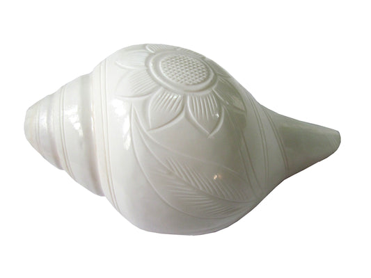 CENTORGANIC Vamavarti Original, Engraved Premium Natural Conch Shell Loud Blowing Shankh for Pooja, Medium Size, 5.5 Inch(14 to 15 cm) in length